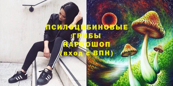герыч Аркадак