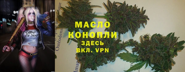 твердый Арсеньев