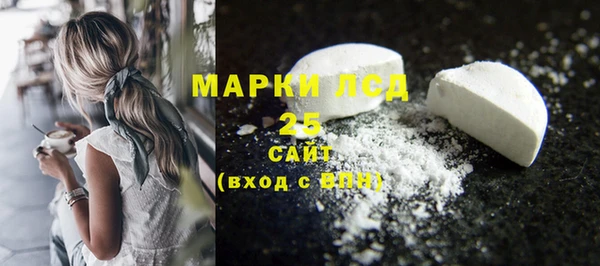 твердый Арсеньев