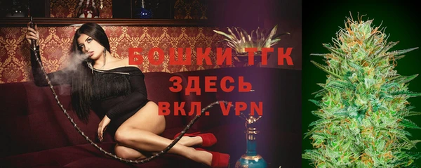 твердый Арсеньев
