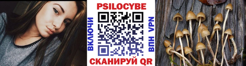 Галлюциногенные грибы мухоморы Николаевск